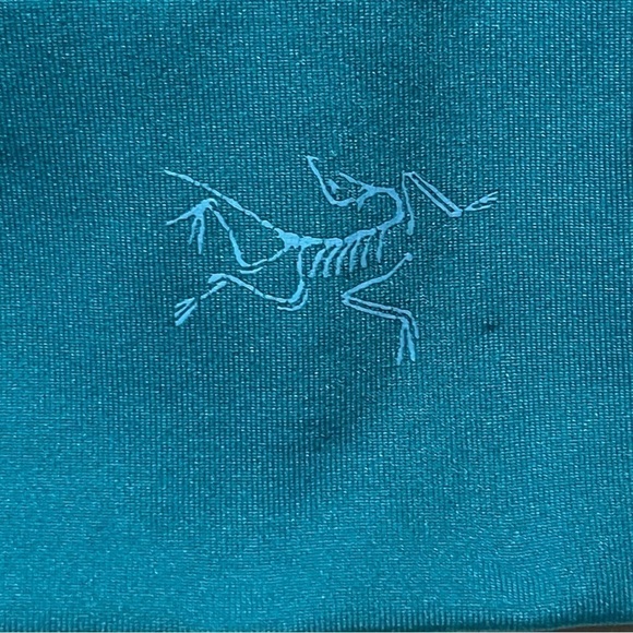 Arc’teryx Escala Teal Pullover Long Sleeve Hoodie Size Small - Picture 2 of 6